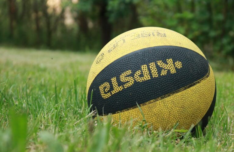 The Ball Basketball Grass Sport  - trapicer_tv / Pixabay