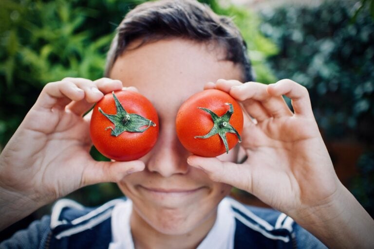 Guy Tomatoes Faces Cute Outdoors  - sweetlouise / Pixabay